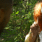 The Forest Clown 2025